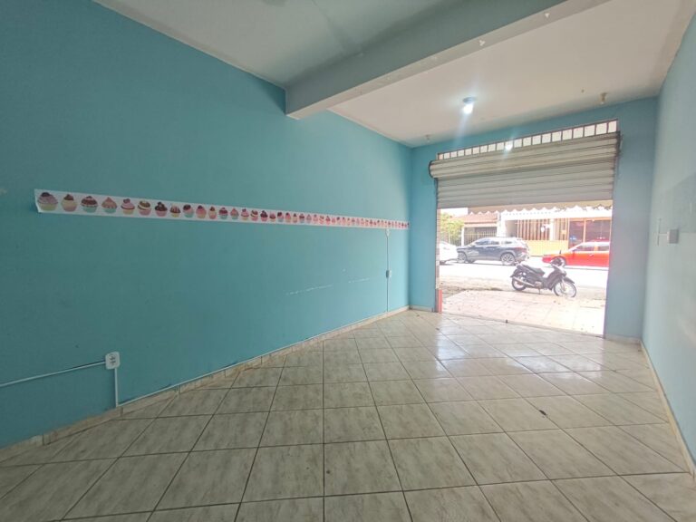 WhatsApp Image 2026-02-09 at 12.54.51