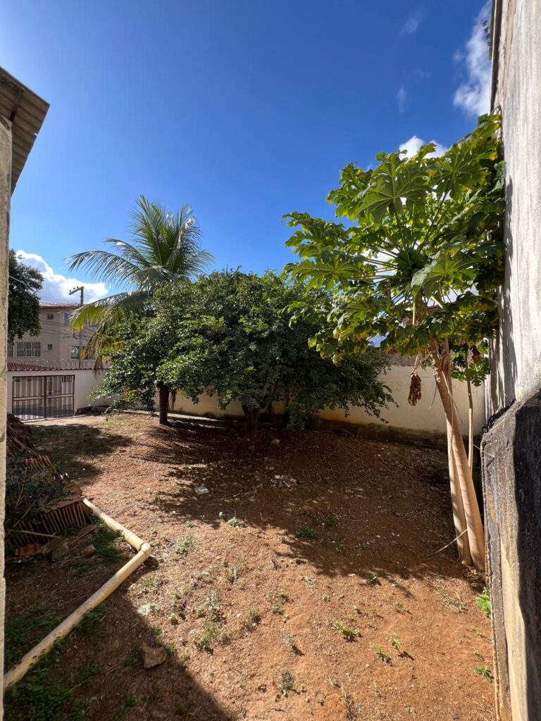 WhatsApp Image 2026-02-13 at 10.08.26 (3)