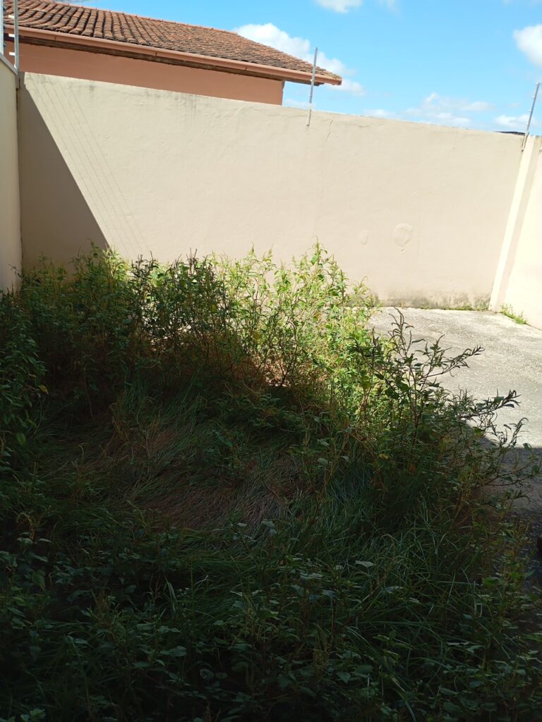 31b2139f-6dfd-43f3-905c-4e9dd1fe8520_0.5516776029428068